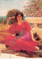 Studio di olio Flabellifera